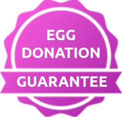 The Egg Donation Programme Guarantee The Egg Donation Programme Guarantee