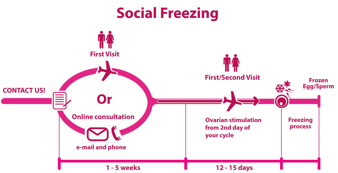 Social Freezing process