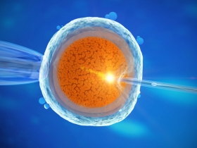 Managing Expectations During Your First IVF Cycle 