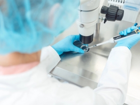 IVF for Beginners: What You Need to Know 
