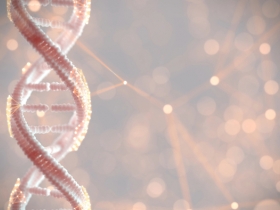 Genetics and Fertility: What You Need to Know 