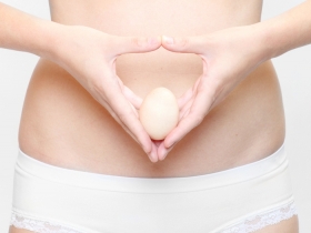 Why Egg Quality Matters More Than Egg Count 