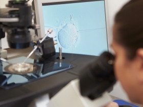 Starting IVF Again After a Break Starting IVF Again After a Break