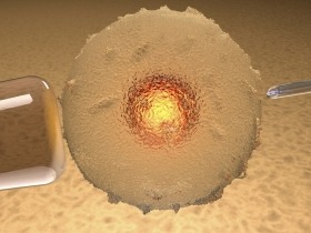 The Transformative Power of Egg Donation