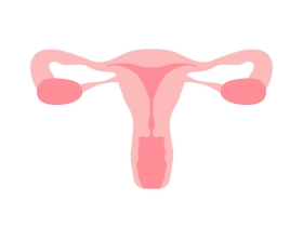 How IVF Is Helping Women with Uterine Abnormalities 