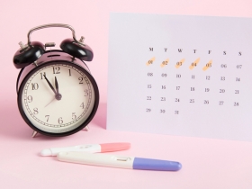 What Ovulation Really Tells You About Your Fertility