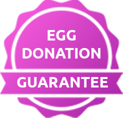 The Egg Donation Programme Guarantee