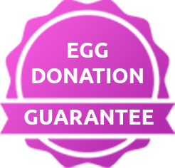 The Egg Donation Programme Guarantee The Egg Donation Programme Guarantee